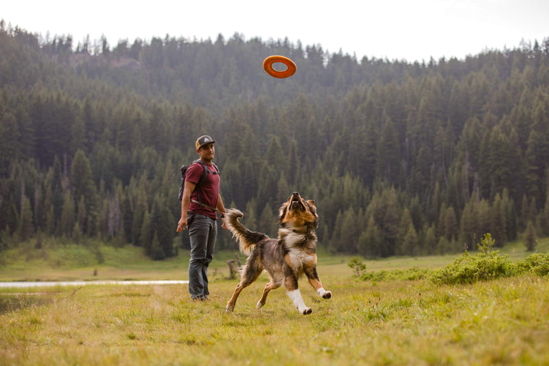 RUFFWEAR, Hydro Plane Floating Disc for Dogs Medium Campfire Orange - PawsPlanet Australia