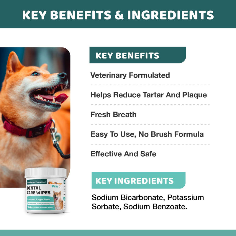 Wellnergy Pets Dental Wipes for Dogs and Cats - No Brush Formula; Improve Oral Hygiene and Health; Freshen Breath; Fresh Mint Flavor. 100 Wipes. - PawsPlanet Australia