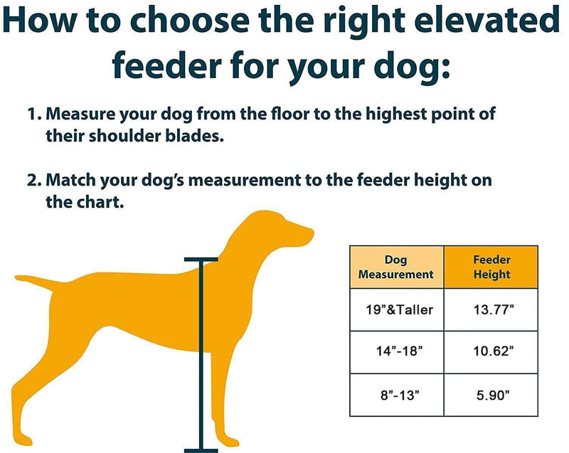 Double Raised Dog Bowl with Stand Stainless Steel Elevated Pet Feeder Dishes Non Spill Water Food Feeding Bowls for Dogs Cats (M) Medium - PawsPlanet Australia