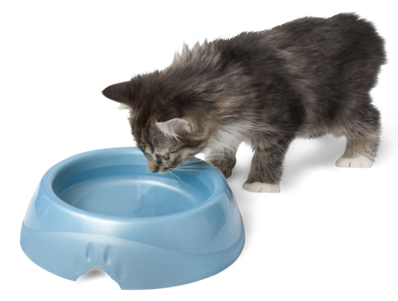 [Australia] - Petmate Ultra Lightweight Pet Bowl 4 CUP 