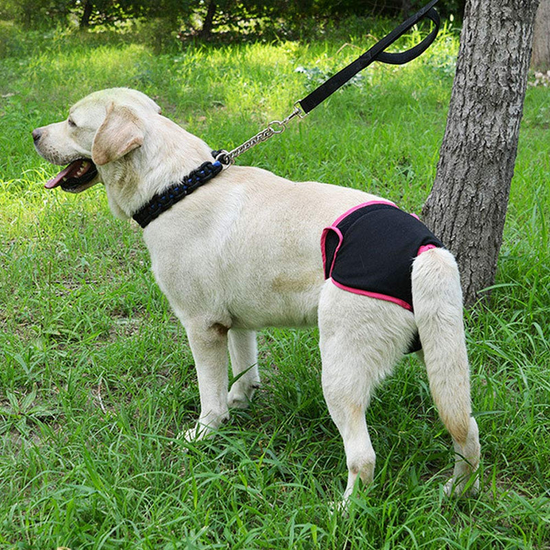 DAUERHAFT Dog Physiological Pant,Soft and Comfortable Cotton Sanitary Diaper Physiological Pant for Female Dog Physiological Pant(L-Black) - PawsPlanet Australia