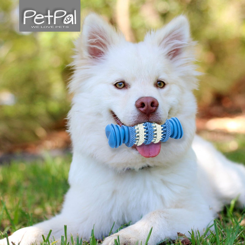 PetPäl Dog Chewing Toy with Dental Care Function - Snack-bone made of natural rubber - Chew Toy for Treats - For small & Large Dogs Blue_Dentalbone - PawsPlanet Australia