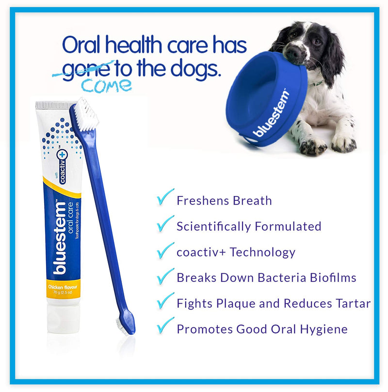 Dog Toothpaste : Dog & Cat Dental Care Tooth Paste Promotes Fresh Breath Teeth Brushing Cleaner Pet Breath Freshener Oral Care Dental Cleaning Kit. Tartar & Plaque Remover Toothbrush Chicken Flavor + Toothbrush - PawsPlanet Australia