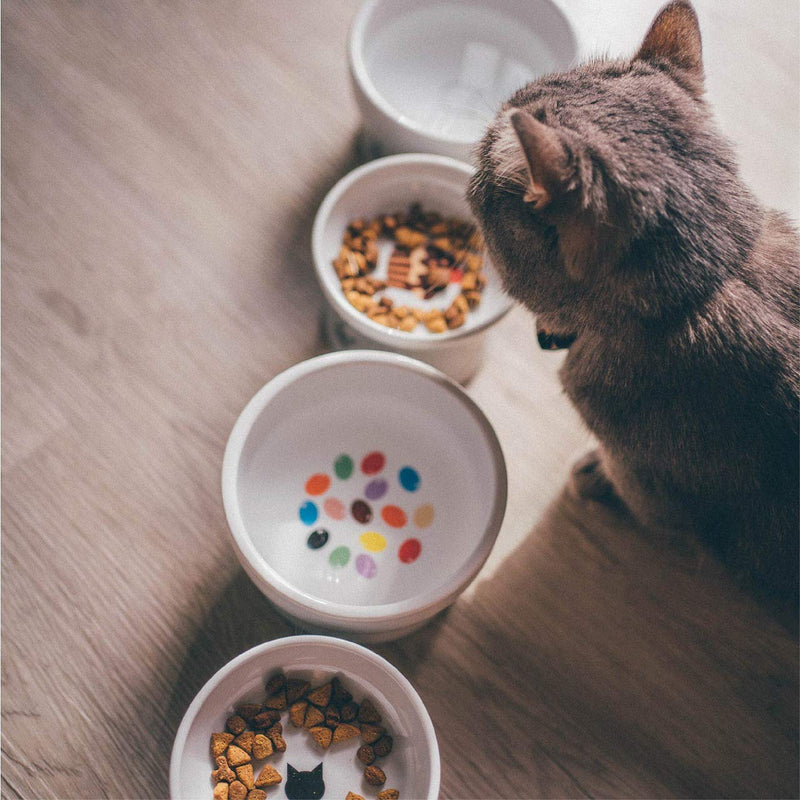 [Australia] - Necoichi Raised Cat Food Bowl, Stress Free, Backflow Prevention, Dishwasher and Microwave Safe, Made to EC & ECC European Standard Cupcake 