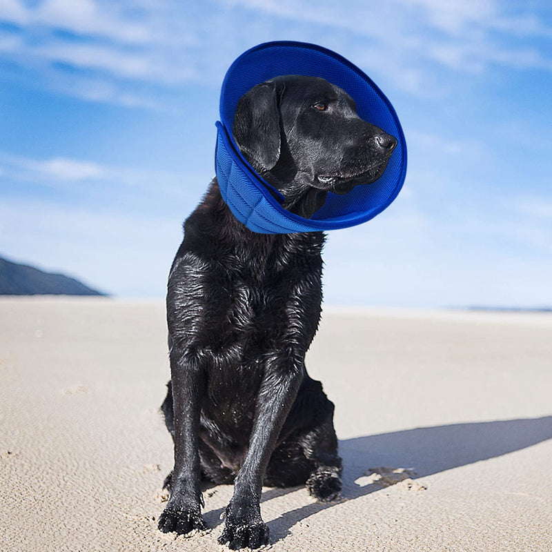 newsbirds Neck Collar for Dogs, Lightweight Comfortable Soft Recovery Elizabethan Collar for Pets, Adjustable Protective Collar for Dogs and Cats, Blue 3 Size 3 for Cats and Small Dogs Blue - PawsPlanet Australia