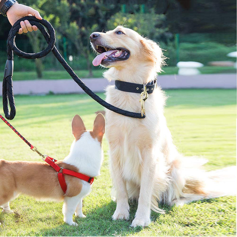 [Australia] - 10 Pcs Heavy Duty 2.95"x0.98" Square Eye Nickel Plated Swivel Snap Hooks pet Buckle Trigger Clip Clasp Dog Horse Lead Keychain (Gold) Gold 