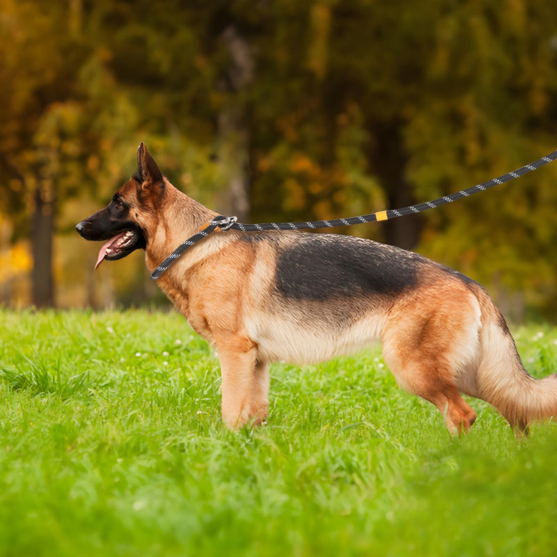 Lollanda Adjustable Dog Lead, Reflective Dog Lead, Long Training Lead, Dog Lead for Large & Medium Dogs (Yellow) Yellow - PawsPlanet Australia
