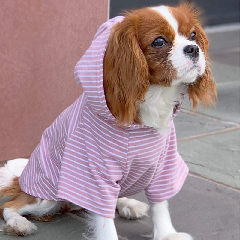 DJANGO Dog Hoodie and Super Soft and Stretchy Sweater with Elastic Waistband and Leash Portal X-Small Blush Pink - PawsPlanet Australia