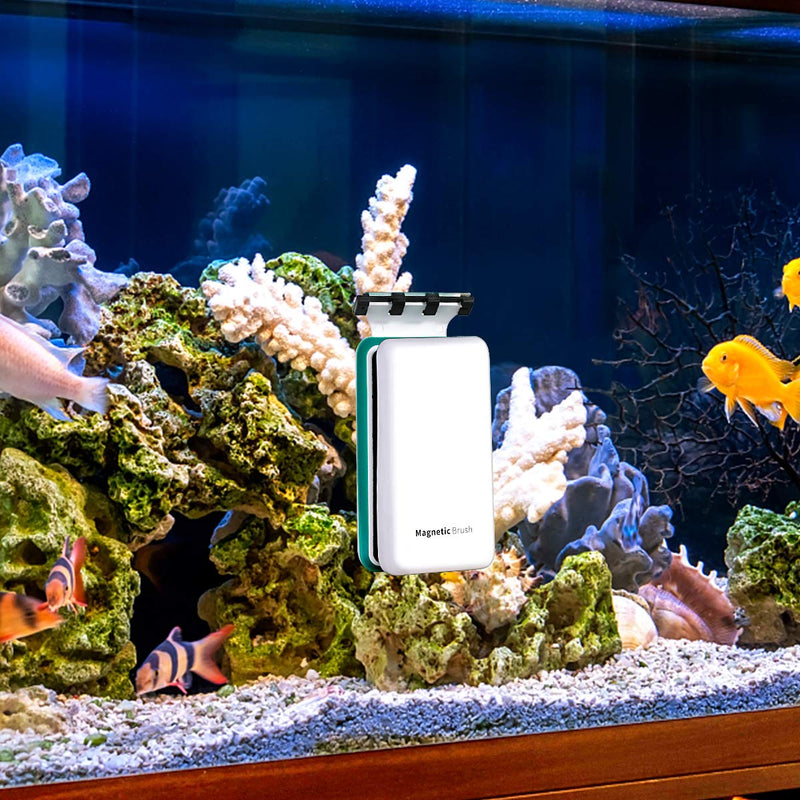 KEDSUM Magnetic Aquarium Tank Algae Scrapers, 2-in-1 Fish Tank Glass Cleaner, Floating Scrubber Clean Brush with 2 Blades [Scratch-Free, Non-Slip, Magnetizing] L - PawsPlanet Australia