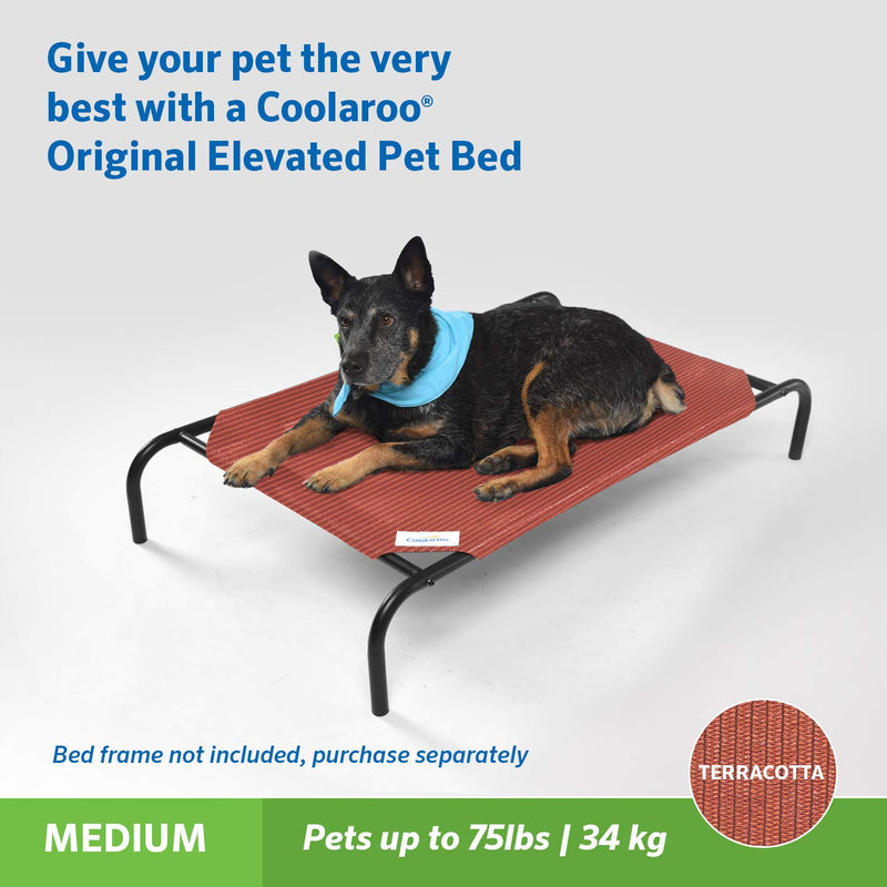 Coolaroo Replacement Cover, The Original Elevated Pet Bed by Coolaroo, Medium, Terracotta - PawsPlanet Australia