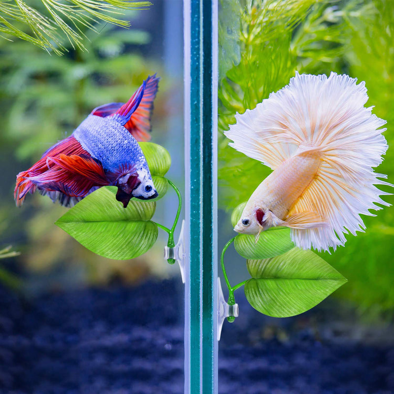 [Australia] - 4 Pieces Betta Bed Leaf Hammock for Betta Fish, Lightweight and Realistic Resting Spot, No BPA, Practical, Comfortable and Safe Double Leaf 