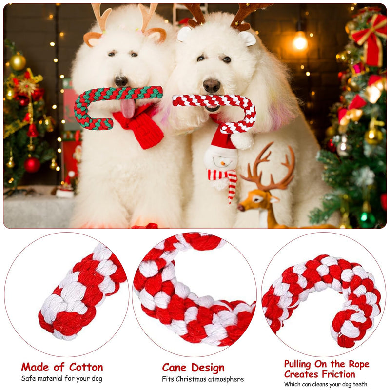 Christmas dog toy, Christmas candy cane rope, dog toy candy cane, dog toy rope, dog chew toy, Christmas gift dog toy for small dogs - PawsPlanet Australia