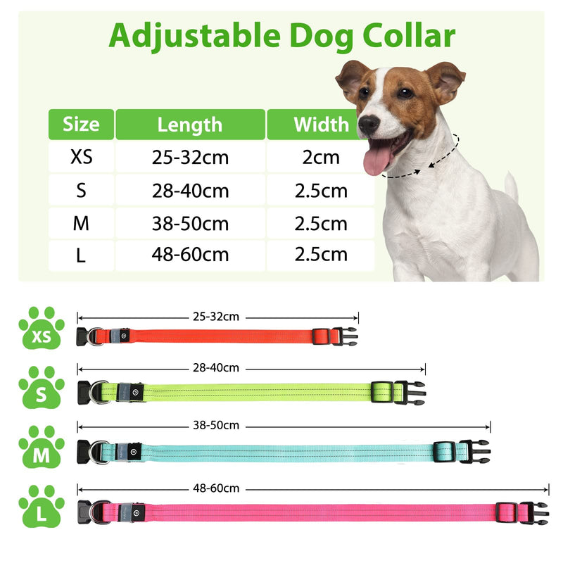 Dog Collar Luminous Collar Waterproof Light Up LED Dog Collar USB Rechargeable Flashing Reflective Dog Collars Adjustable Super Bright for Large Medium Small Dogs, Green-S S (28-40cm, 2cm) - PawsPlanet Australia
