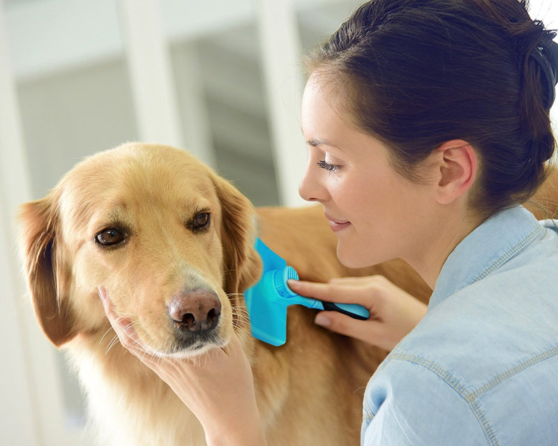 Slicker Dog Brushes, Self Cleaning Pet Grooming Brush - Removes 90% of Dead Undercoat and Loose Hairs,Suitable for Medium and Long Haired Dogs Cats Blue - PawsPlanet Australia