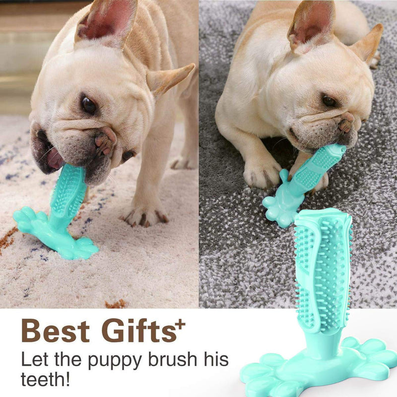 Jhonson Dog Toy, Dog Toothbrush Stick, Dog Chew Toy for Small Medium Doggy Teeth Cleaner Puppy Dental Care, Nontoxic Natural Rubber Bite Resistant - PawsPlanet Australia