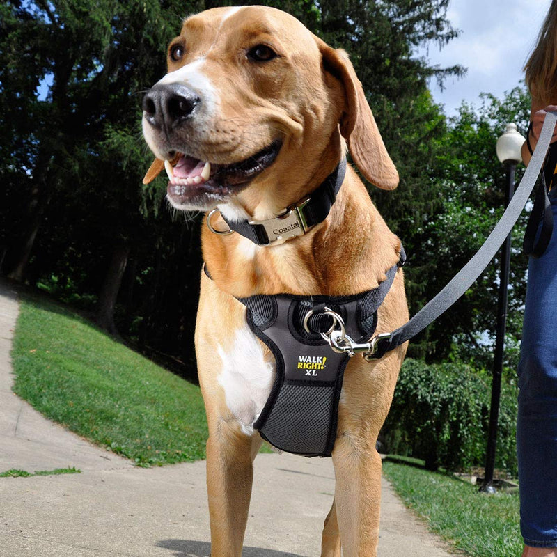 [Australia] - Coastal Pet Harness SML (16"-24") Black 