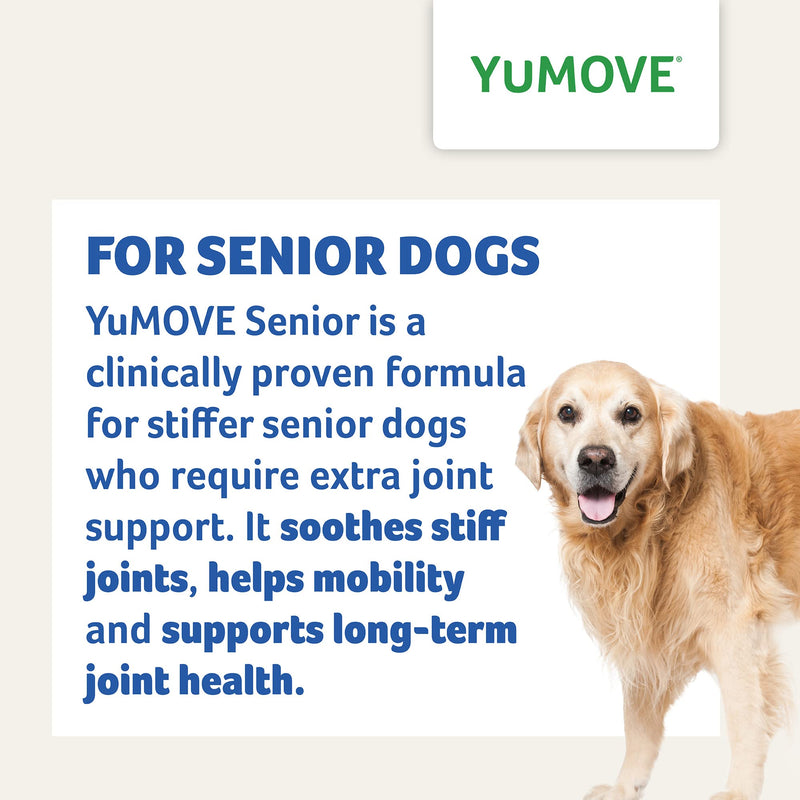 Lintbells YuMOVE Daily Bites For Senior Dogs | High Strength Hip and Joint Supplement Designed for Older, Stiff Dogs, with Glucosamine, Chondroitin, Green Lipped Mussel | Aged 9+ | 60 Chews, White 60 count - PawsPlanet Australia