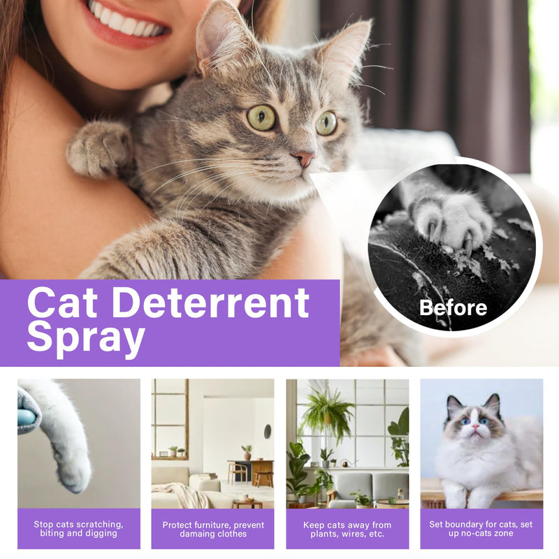 WERPOWER Cat Repellent Sprays, Anti-Scratch Training Spray & Scratch Deterrent Spray, Purple - PawsPlanet Australia