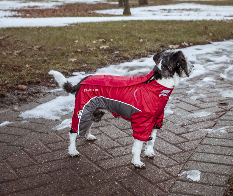 DOGHELIOS 'Blizzard' Full-Bodied Comfort-Fitted Adjustable and 3M Reflective Winter Insulated Pet Dog Coat Jacket w/ Blackshark Technology, X-Small, Cola Red - PawsPlanet Australia