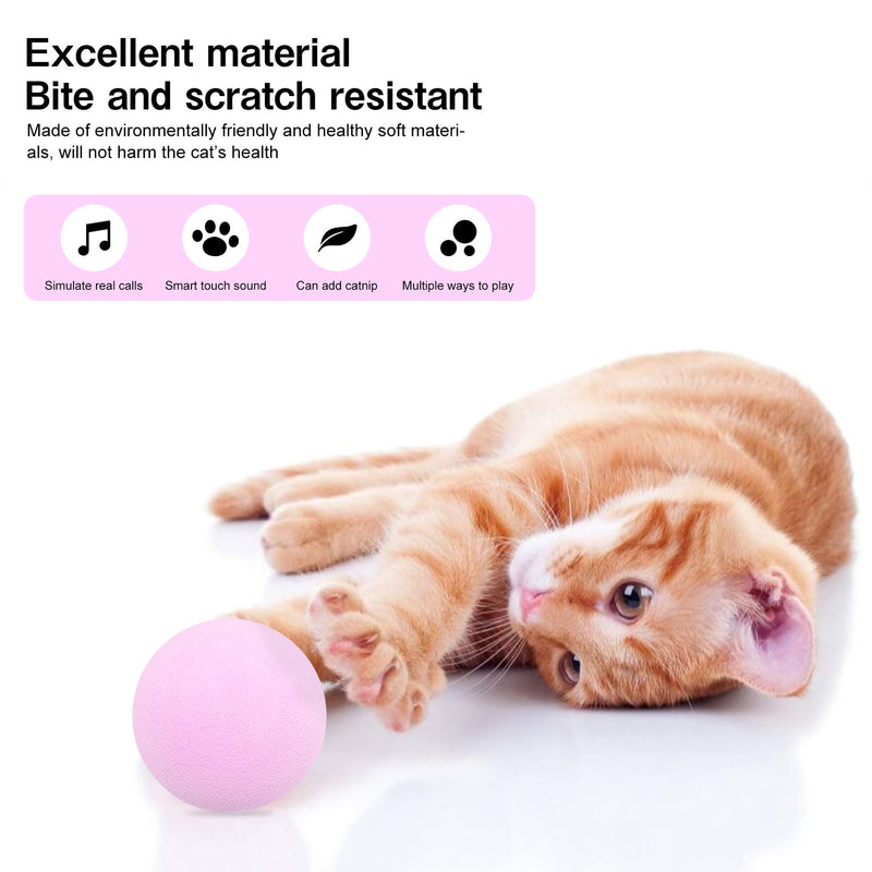 Cat Interactive Toys Squeaky Ball Catnip Toy for Indoor Cats 3 Colors/Set Cat Teasing Training and Playing Ball Pet Sound Toy Cat Dog Throw Toy - PawsPlanet Australia