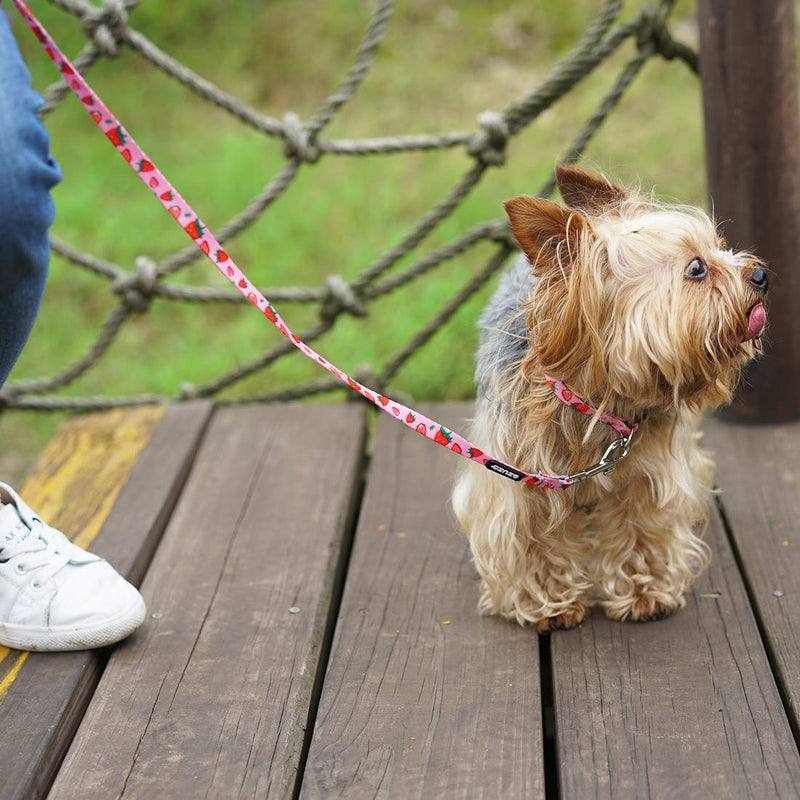 [Australia] - azuza Dog Collar and Leash Set, Cute Fruit Patterns, Adjustable Nylon Collar with Matching Leash for Small Medium and Large Dogs S (Neck: 11"-16") Strawberry 