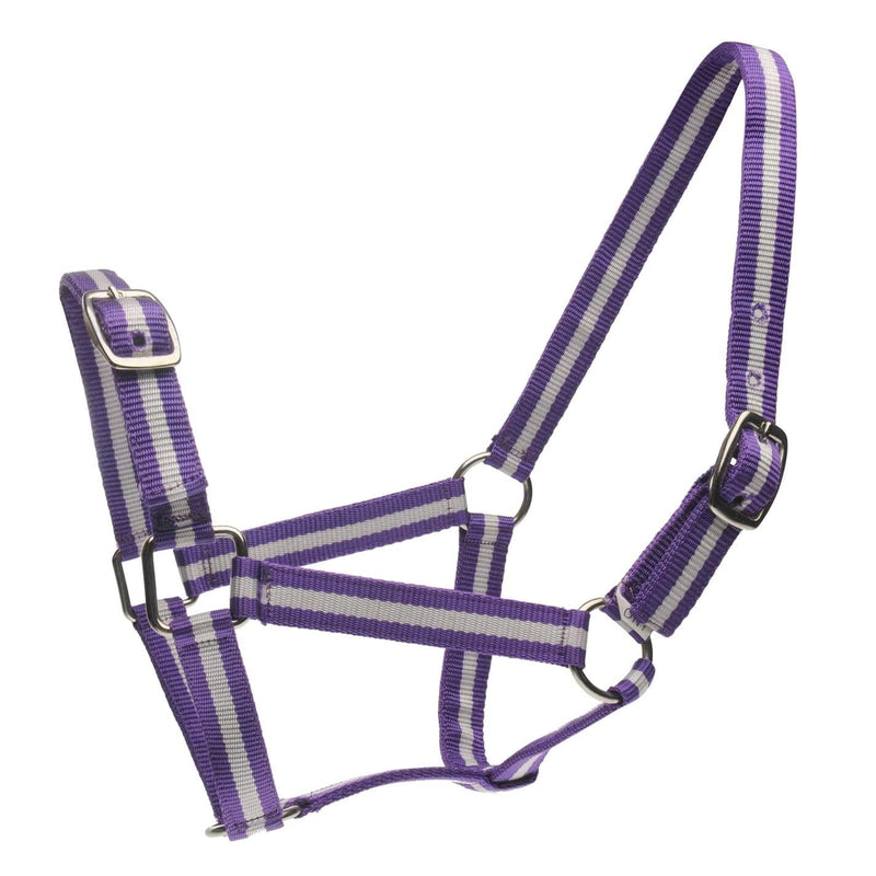 Roma Headcollar and Lead Set - Black Full - PawsPlanet Australia