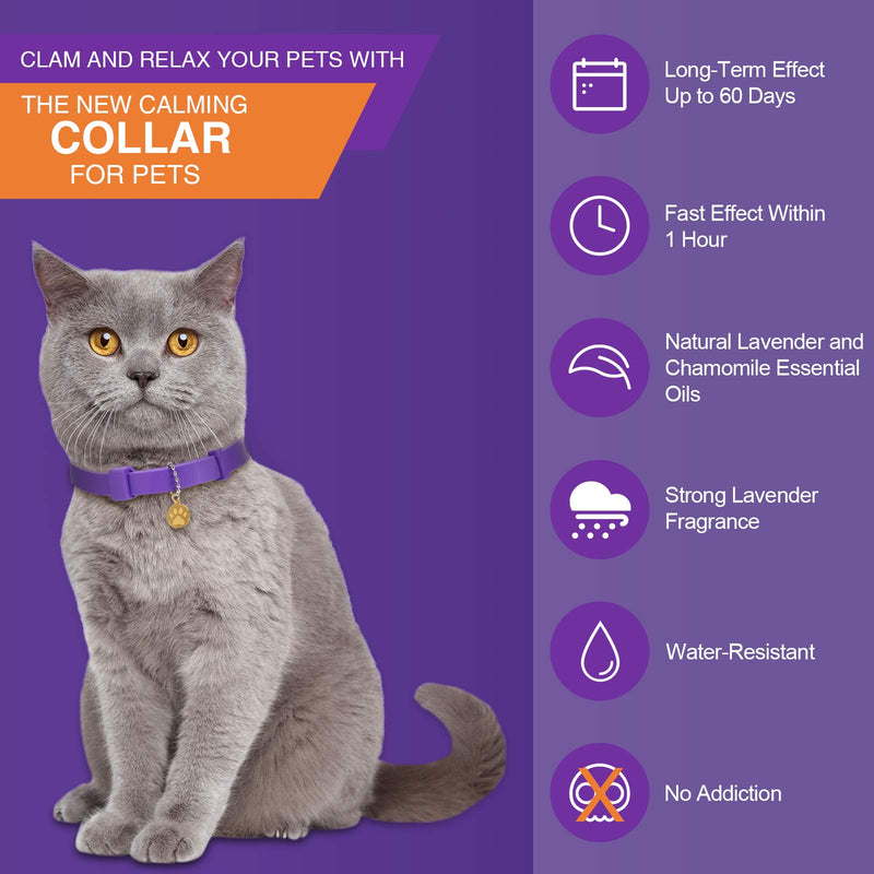 Fiada 6 Pieces Calming Cats Collar Adjustable Cat Relieve Reduce Anxiety Collar Lavender Scent Long-Lasting Relaxing Cat Collar with 3 Pendants for Puppies Cats Reduce Stress Anxious, Purple - PawsPlanet Australia