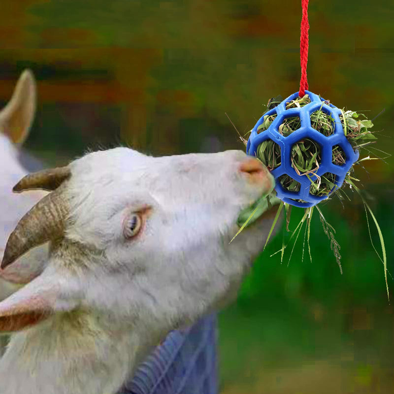 2pcs Horse Treat Ball Hay Feeder Toy Ball Hanging Feeding Toy for Horse Horse Goat Sheep Relieve Stress, Horse Stable Stall Paddock Rest Blue - PawsPlanet Australia