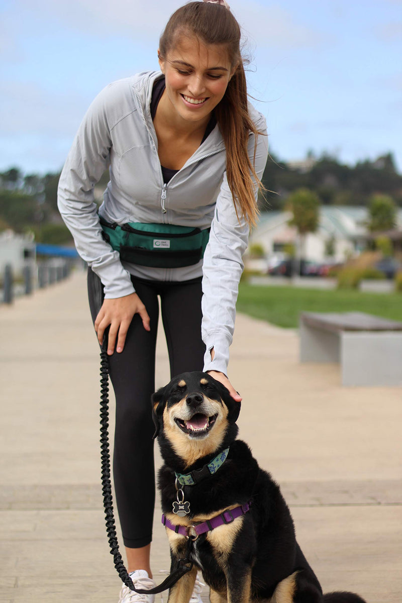 [Australia] - One Trail Hands Free Dog Leash | Durable Bungee Leash with No-Bounce Pack | for Men & Women | Pouch Fits All Large Cell Phones | Fits up to 50" Waist | Perfect for Large, Medium, Or Small Dogs Grey 