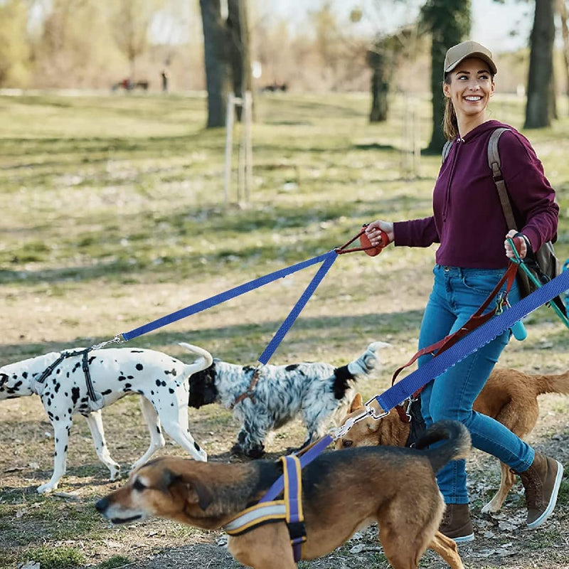 Double dog leash, dog leash for two dogs, double leash, no tangles, suitable for small dogs, for 2 dogs for walking, training and jogging, blue - PawsPlanet Australia