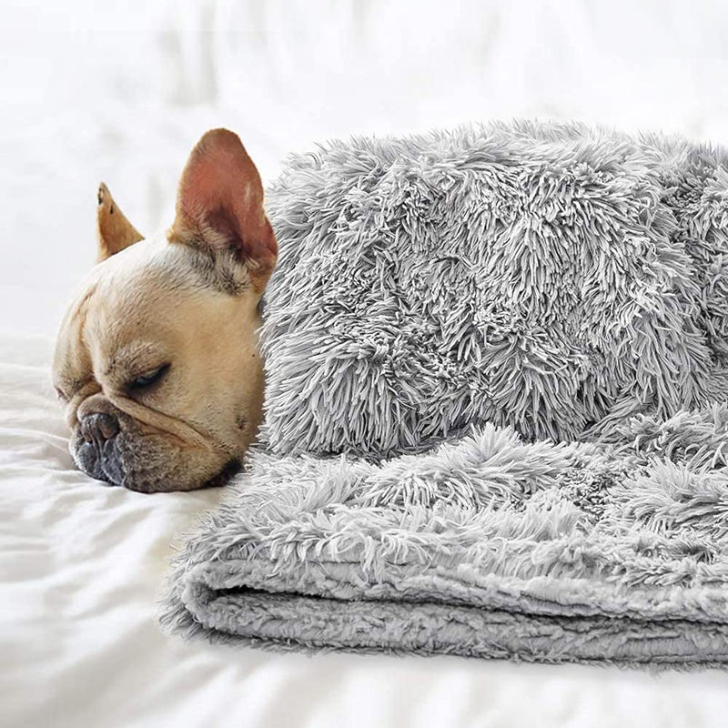 CHMMY Fluffy Dog Blanket, Soft Cat Blanket, Fleece Blanket, Washable Deck for Pets, Dogs, Cats, Puppies, Soft Warm Mat for Pets, Dogs, Cats, Puppies Grey L: 75*100cm - PawsPlanet Australia