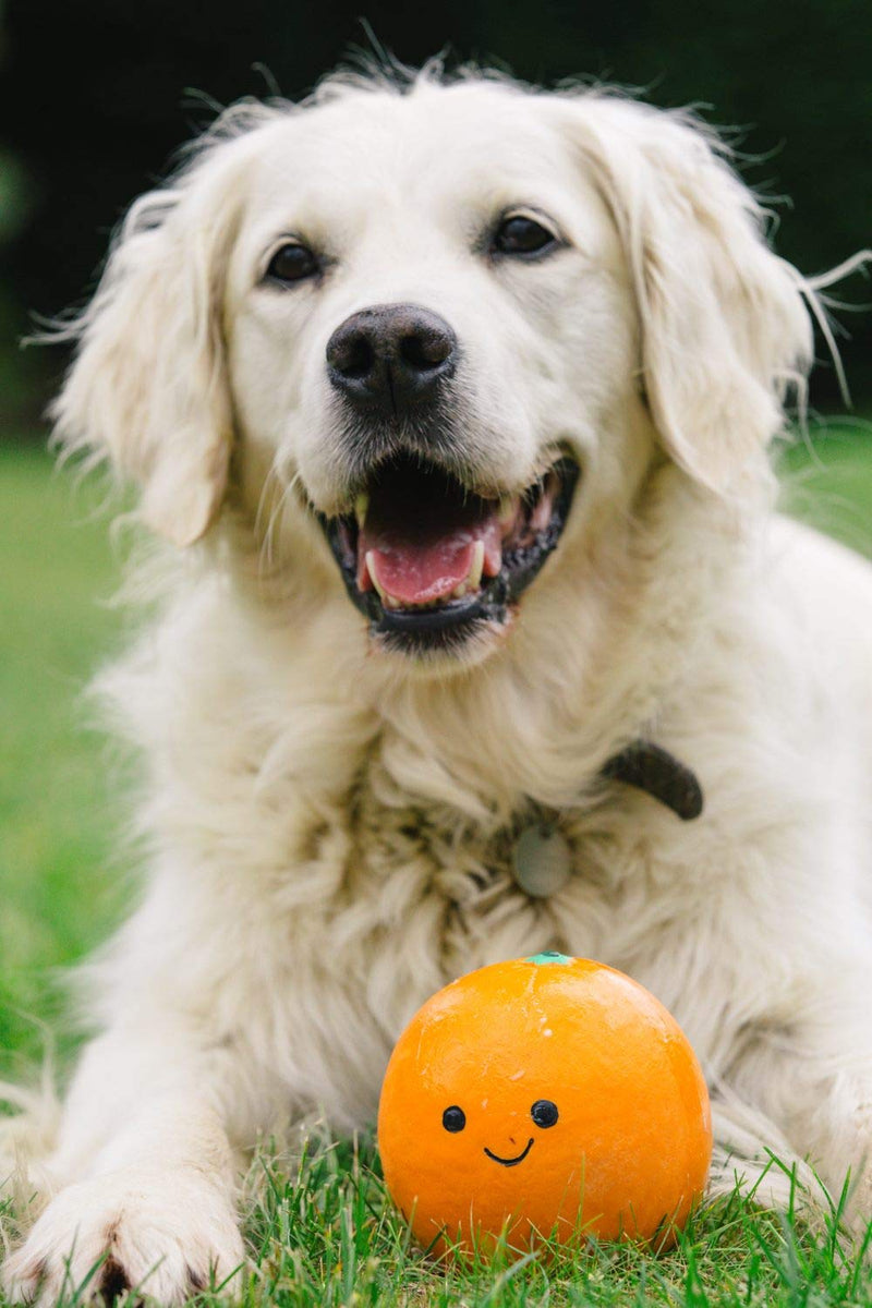 Petface Latex Orange Soft Chew Dog Toy, Small - PawsPlanet Australia