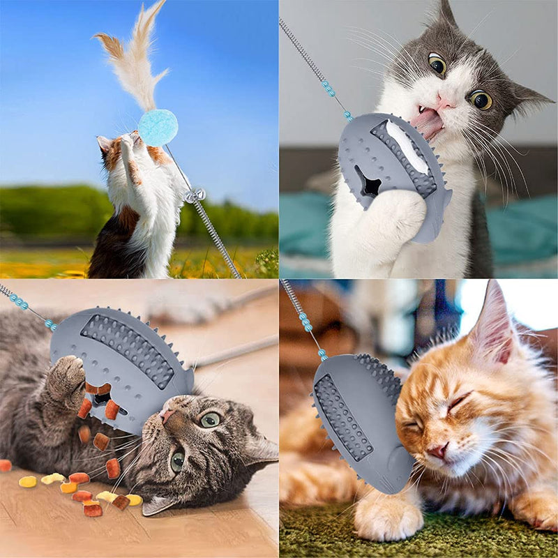 Petdexon Interactive Cat Toys, Pro 6 in 1 Catnip Toys for Indoor Cats, Rubber Cat Chew Toys for Teeth Cleaning, Durable Mouse Cat Feather Teaser Toys for Hairbrush Massage, Scratching, Stuffing Foods Grey - PawsPlanet Australia