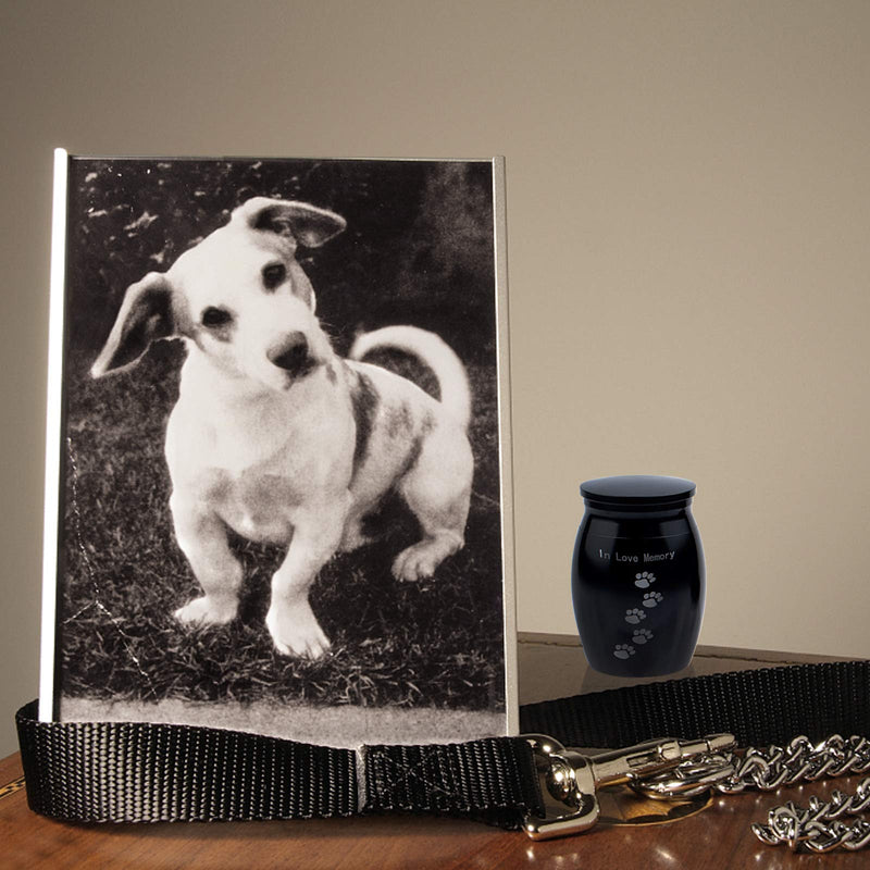 Broadsheet Mini Urns for Human Ashes, Pet Urns for Dogs Ashes, Metal Keepsake Urns for Human Ashes, Dog Urns for Ashes, Not Forgotten You Left Paw Prints on My Heart (Black) - PawsPlanet Australia