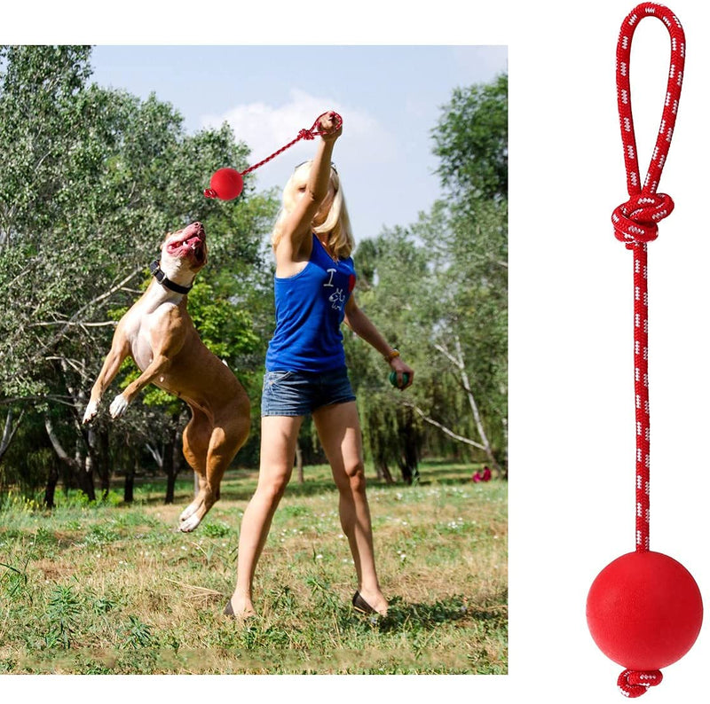 LSTK Pet Rubber Chew Toy Ball with Rope,Dog Interactive Ball with Rope for Pet Playing Training Exercising(3 Pcs) - PawsPlanet Australia