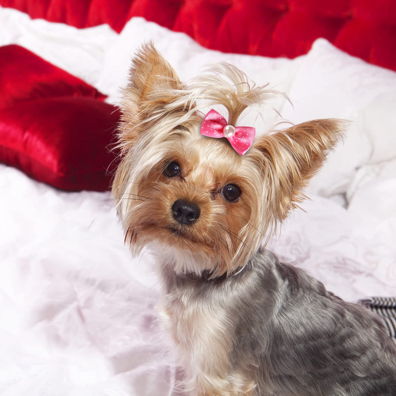 40 Pieces Dog Bows Cute Puppy Dog Bowknot Hair Bows Handmade Hair Accessories Bow with Rubber Bands Lace Organza Puppy Bows Rhinestone Pearls Dog Hair Ties Multicolor Dog Hair Grooming Accessories - PawsPlanet Australia