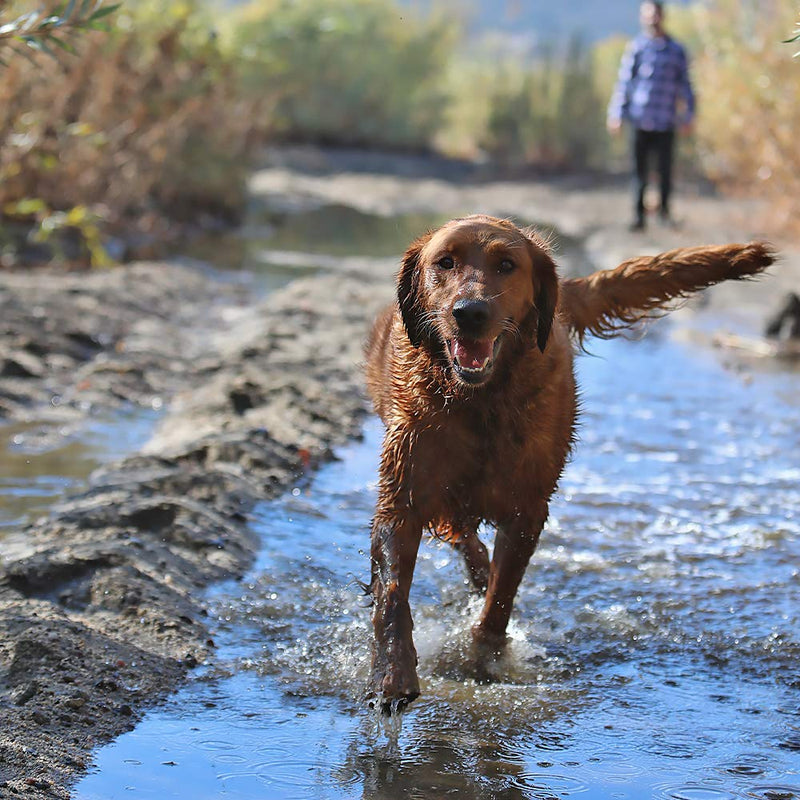 [Australia] - Grip Clean | All Natural Dog Shampoo and Conditioner - Heavy Duty For Outdoor/Stinky dogs - Aloe vera, Tea Tree Oil, Coconut Oil, Rice Bran, Vitamin E 