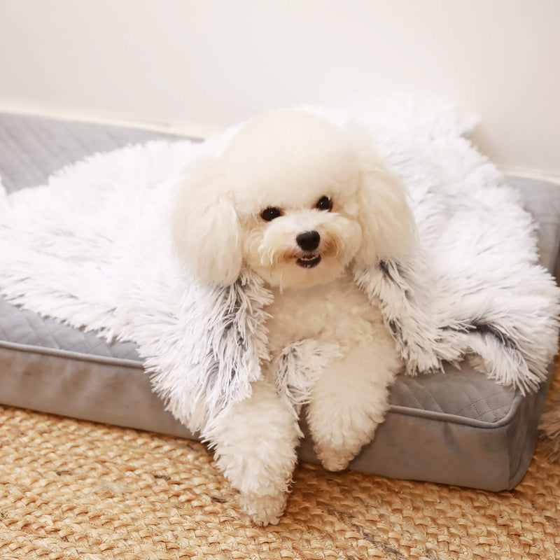 [Australia] - HACHIKITTY Calming Dog Blanket Large Size, Shag Vegan Fur Dog Blanket, Soft Dog Blanket Multiple Use S (24 x 32'') Grey 