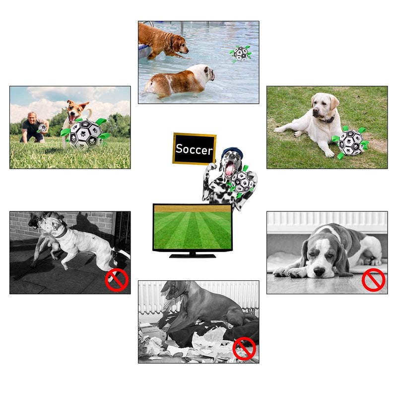 MIDOG Dog Balls Interactive Dog Toys for Large Dog Soccer Ball Indestructible for Small Medium Dogs Tough Herding Ball for Dogs Durable Outdoor Dog Toys Puppy Dog Yard Pool Toys Lifetime Replacement Green - PawsPlanet Australia