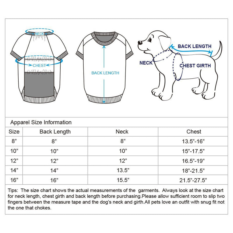 [Australia] - Blueberry Pet 2020 New Dog Coat - 9 Patterns Dog Sweatshirt / 4 Patterns All-Weather Dog Poncho Back Length 12" Sweatshirt - Baby Pink 