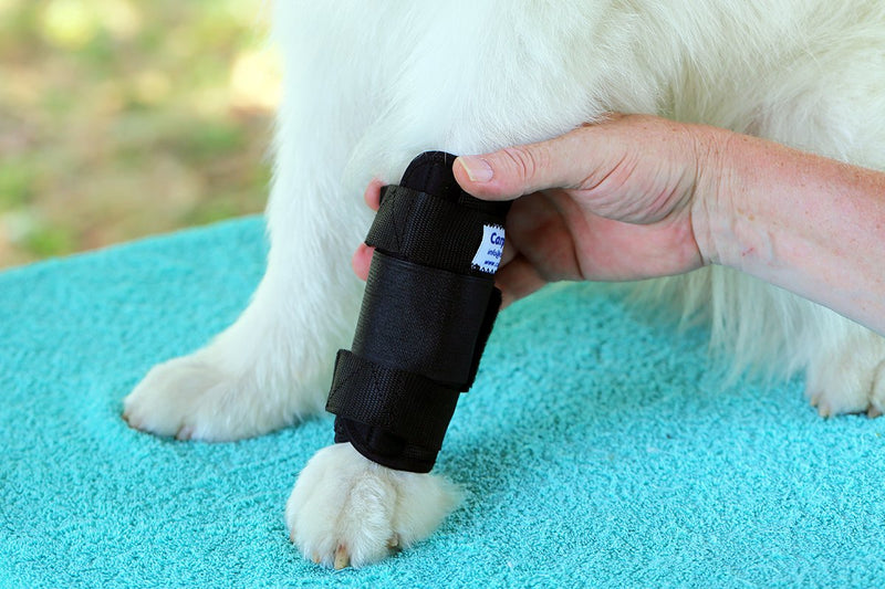 NATURE PET Premium Dog Front Leg Bandage/Dog Wrist Bandage/Dog Carpal Joint Bandage/Canine Front Leg Brace/Dog leg wrap/Dog splint/Dog wrist brace (XL, Black) XL - PawsPlanet Australia