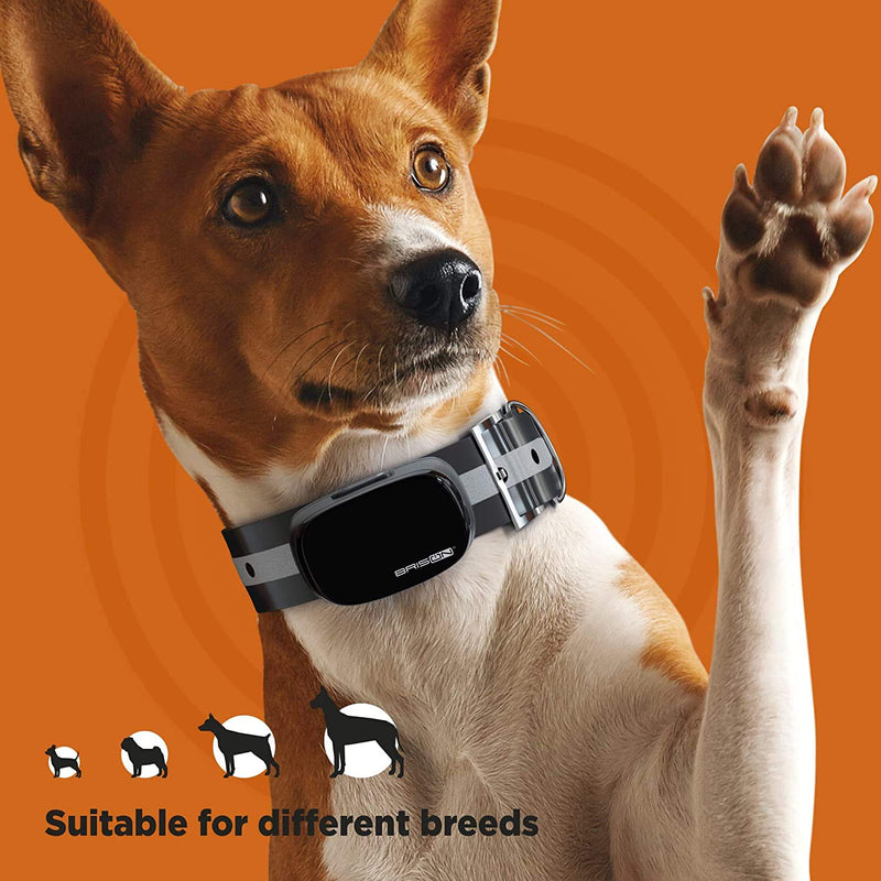 [Australia] - BRISON Dog Training Collar - 3 Modes - Humane Rechargeable Waterproof Anti Bark Collar for Small Medium and Large Dogs with Remote Trainer E-Collar 1000 ft 