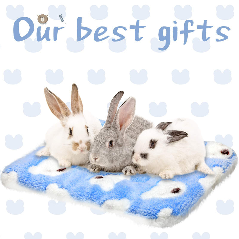 3 Pieces Guinea Pig Hamster Warm Mats Bed Winter Hamster Sleep Pad Hamster Warm Cushion for Bunny Hamster Squirrel Hedgehog Chinchilla, 3 Colors (Bear) Bear - PawsPlanet Australia