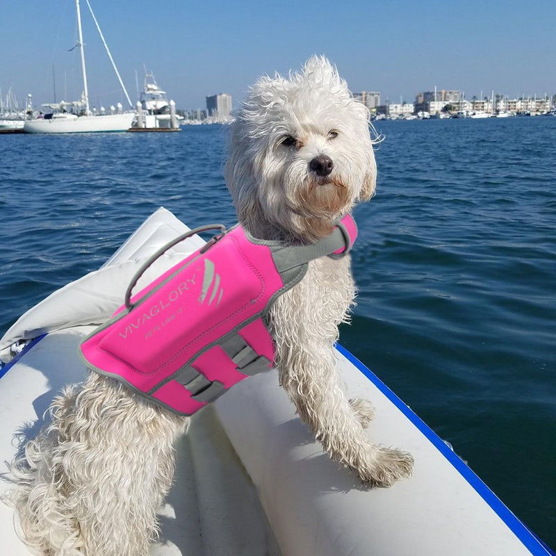 [Australia] - VIVAGLORY Dog Life Jackets, Premium Skin-Friendly Neoprene Dog Life Vest with Superior Buoyancy and Rescue Handle S (Chest Girth: 15.5"-19.5") Pink 