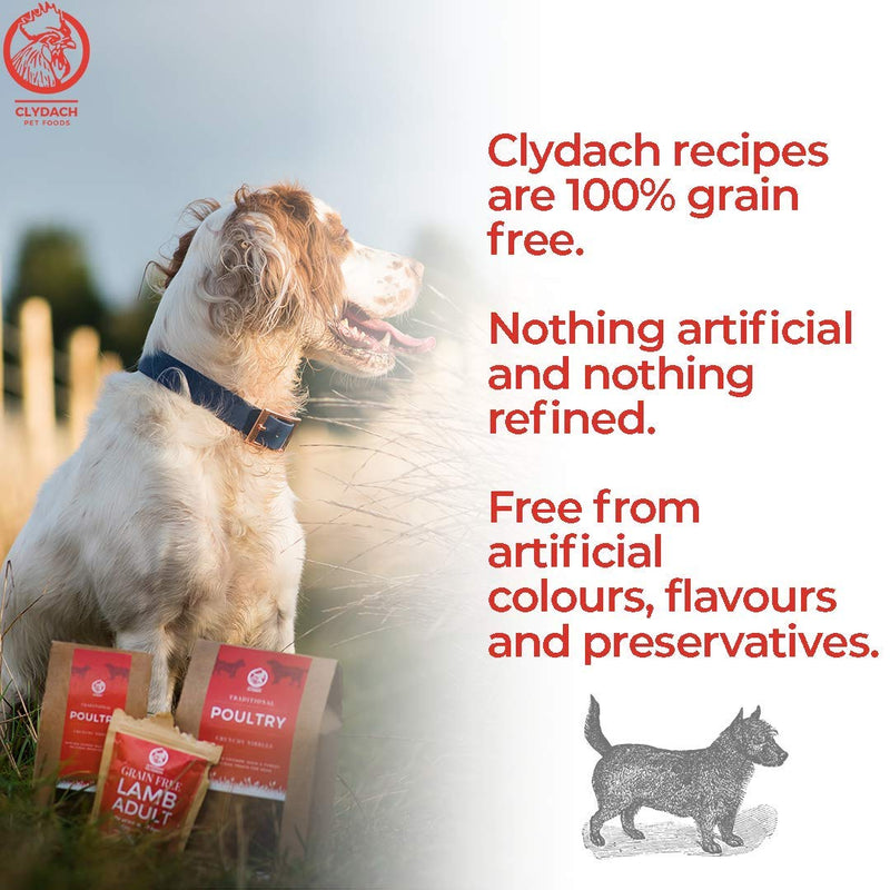 Clydach Farm Scottish Salmon Oil, for Dogs, 500ml, Omega 3, 6 and 9, 100% Natural & Pure 500 ml (Pack of 1) - PawsPlanet Australia