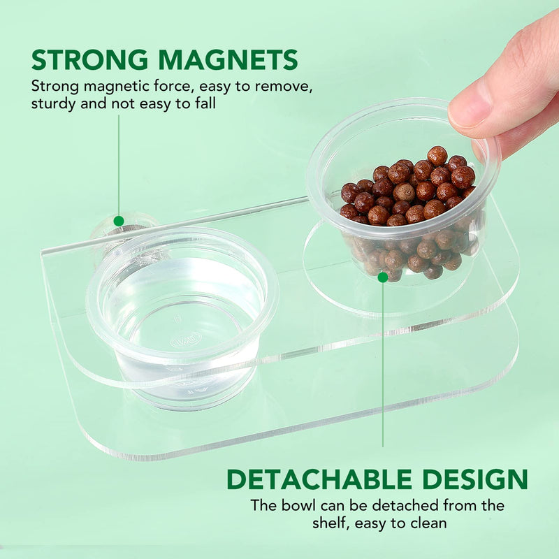 POPETPOP Reptile Feeder with 10Pcs Plastic Bowls- Reptile Food Bowl Water Dish Transparent Feeding Basin for Gecko Lizard Snakes - PawsPlanet Australia