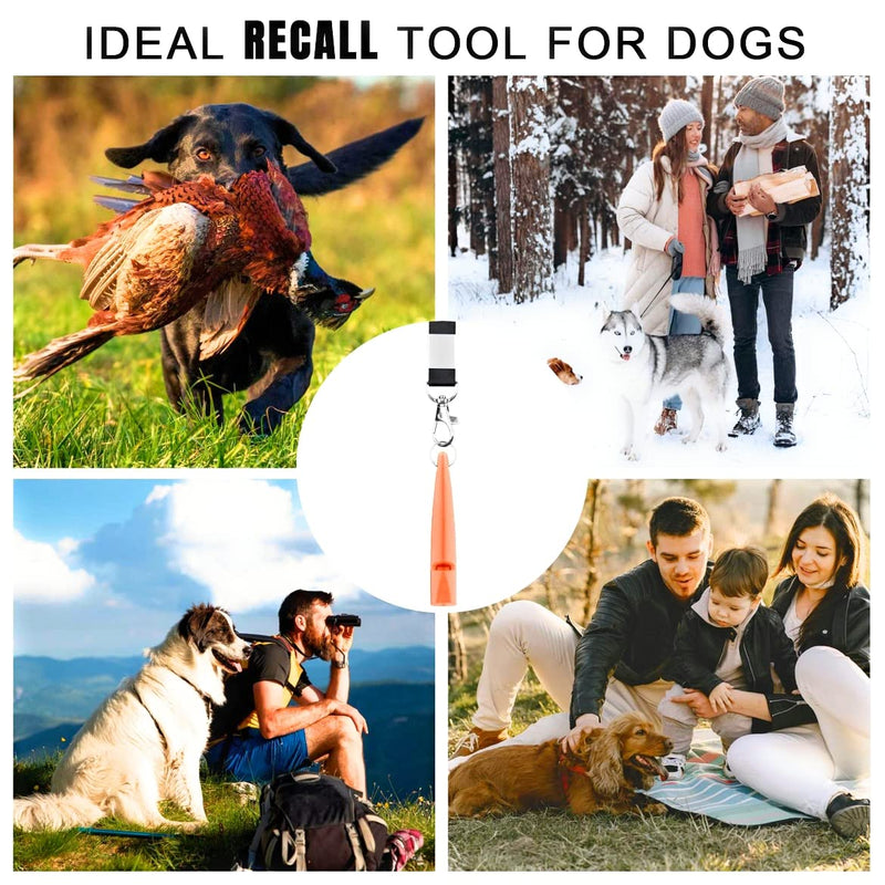 TDL Dog Whistle with Lanyard - Used for Recall & Dog Training - Long Distance - Good Frequency for Most Breeds - Standard Pitched - Consistent - Loud (Orange) Orange - PawsPlanet Australia