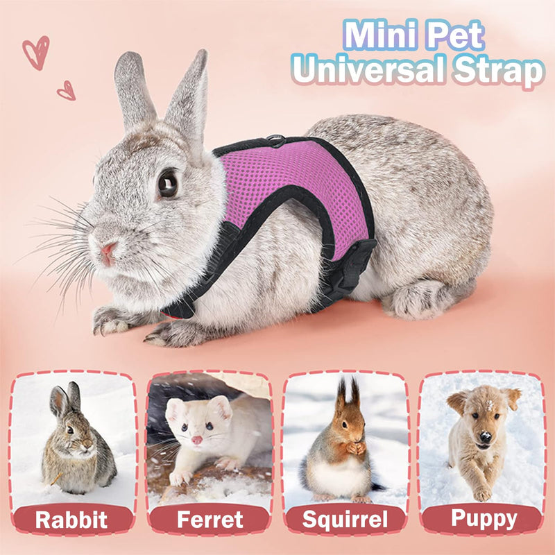 Pack of 2 Rabbit Leash, Blue & Pink Adjustable Rabbit Leash, Elastic Rabbit Harness, Rabbit Harness with Leash for 3-6 Pounds Small Animals, Rabbit Accessories - PawsPlanet Australia