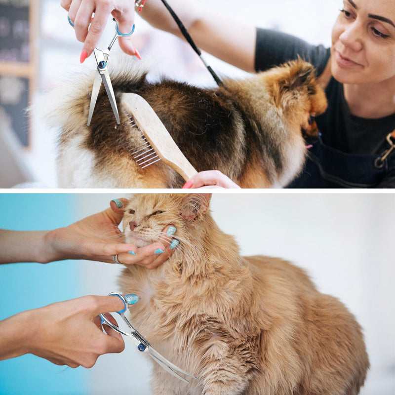 Punwey dog scissors, dog scissors, 6 inches, curved scissors, fur scissors, dog grooming scissors, stainless steel, fur grooming scissors, dog hair scissors for pets, dogs and cats - PawsPlanet Australia