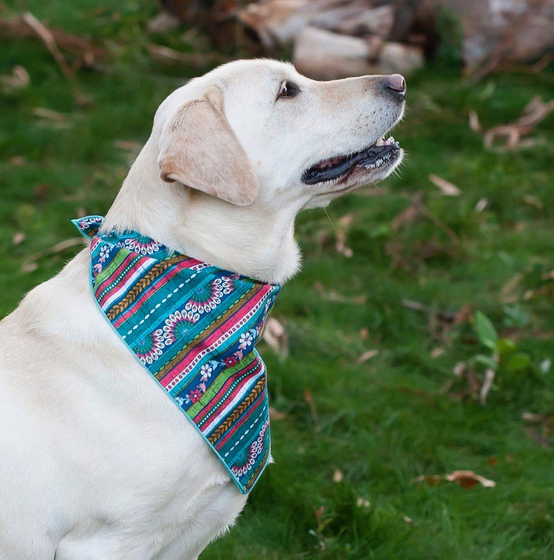 [Australia] - Willowear Patriotic Stars Nautical Aztec and Floral Dog Bandanas for Spring and Summer Large Harmony 